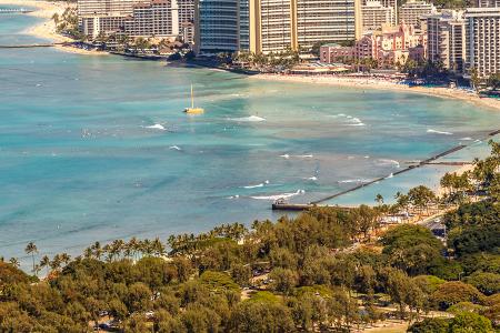 Transport from chinchillas to Honolulu