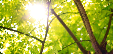 petshipping tiertransport teaser referenz mangaben